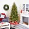 7ft. Pre-Lit Vienna Fir Artificial Christmas Tree, Warm White Lights